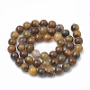 Natural Pietersite Beads Strands G-S333-6mm-010-3