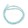 Natural Trochus Shell Beads Strands SHEL-K006-19D-2