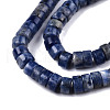 Natural Sodalite Beads Strands G-N326-148C-3