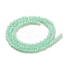 Glass Beads Strands GLAA-L031-01-C14-3