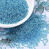 MIYUKI Round Rocailles Beads SEED-X0054-RR2429-1