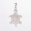 Tortoise Gemstone Pendants G-D648-04-RS-3