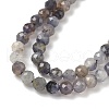 Natural Iolite Beads Strands G-G188-B04-06A-3
