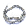 Raw Rough Natural Labradorite Beads Strands G-I279-B07-2