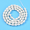Natural Cultured Freshwater Pearl Beads Strands PEAR-N012-04L-3