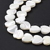 Natural Trochus Shell Beads Strands SSHEL-H070-06C-5