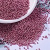 MIYUKI Round Rocailles Beads SEED-G007-RR1076-1