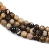 Natural Zebra Jasper Beads Strands G-F792-C13-07-4