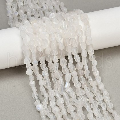 Natural Rainbow Moonstone Beads Strands G-Q060-D12-1
