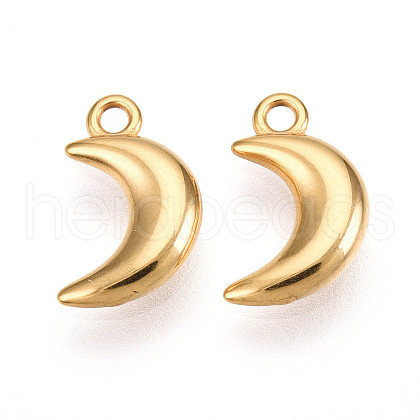 304 Stainless Steel Charms STAS-N109-138G-1