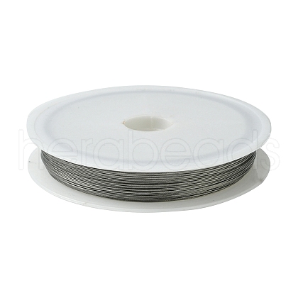 Tiger Tail Wire TWIR-R002-0.38mm-01-1