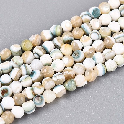 Luminous Natural Seashell Shell Beads Strands SSHEL-N040-05-1