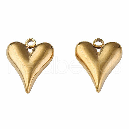 304 Stainless Steel Pendants X-STAS-N087-57G-1