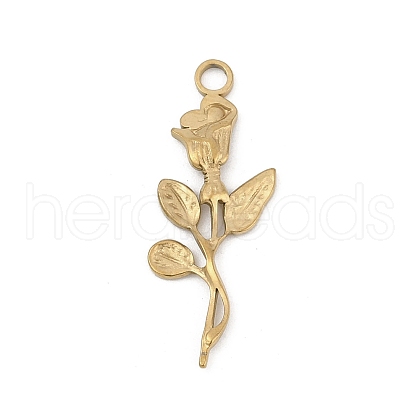 304 Stainless Steel Pendants STAS-D366-07B-G-1