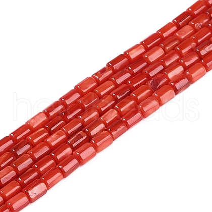 Natural Freshwater Shell Beads Strands BSHE-H109-17D-1