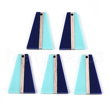 Opaque Resin & Wood Pendants RESI-T057-71A-1