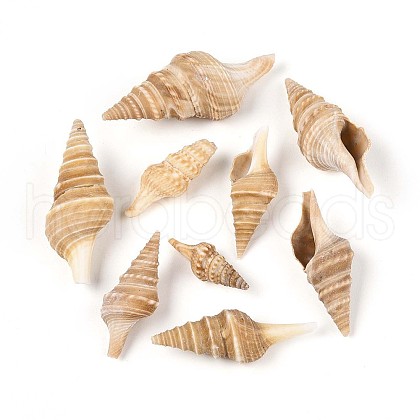 Natural Spiral Shell Beads SSHEL-N040-03-1