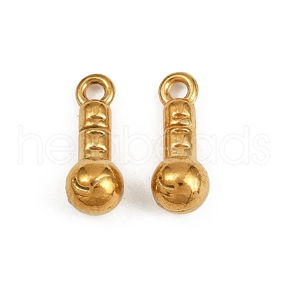 304 Stainless Steel Pendants STAS-F317-05G-1
