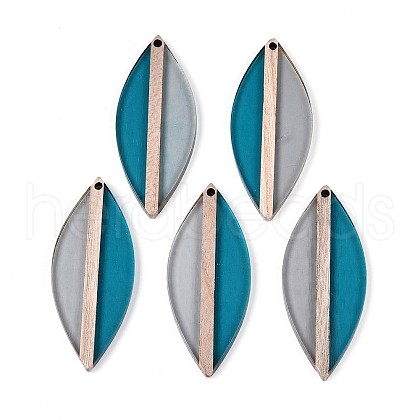 Transparent Resin & Wood Pendants RESI-T057-63A-1