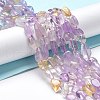 Natural Ametrine Beads Strands G-I351-A11-2