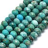 Natural HuBei Turquoise Beads Strands G-G106-A44-03-1