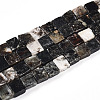 Natural Biotite Beads Strands G-N346-05A-01-2