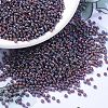 MIYUKI Round Rocailles Beads X-SEED-G007-RR1013-1