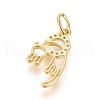 Brass Micro Pave Cubic Zirconia Pendants ZIRC-G166-08G-2
