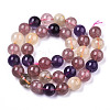 Natural Rutilated Quartz & Strawberry Quartz Beads Strands G-N328-026-2