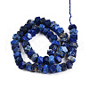 Natural Lapis Lazuli Beads Strands G-N347-09A-10-3