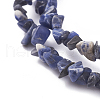 Natural Sodalite Beads Strands X-G-G782-31-3