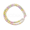 Handmade Lampwork Beads Strands LAMP-S070-11B-2