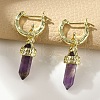 Natural Amethyst Hoop Earrings EJEW-P306-01G-10-1