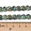 Natural African Turquoise(Jasper) Beads Strands G-D316-B09-4