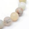 Round Natural Flower Amazonite Bead Strands G-R345-6mm-17-3