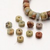 Flat Round/Disc Synthetic Aqua Terra Jasper Beads Strands G-N0160-02-3x4-2
