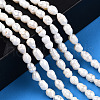 Natural Cultured Freshwater Pearl Beads Strands PEAR-N012-04R-2