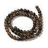 Natural Chiastolite Beads Strands G-Q161-A03-02-3