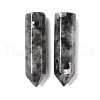 Natural Larvikite Pointed Pendants G-D460-01A-2