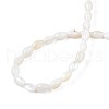 Freshwater Shell Beads Strands SHEL-T009-A15-01-4