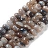 Natural Agate Beads Strands G-G021-03B-05-2
