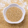 MIYUKI Delica Beads SEED-X0054-DB0099-1