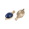 Natural Lapis Lazuli Faceted Pendans KK-L218-003G-07-2