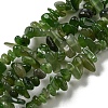 Natural Canadian Jade Beads Strands G-G0003-B38-2