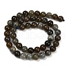Natural Labradorite Beads Strands G-I253-01-8mm-3