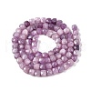 Natural Lepidolite/Purple Mica Stone Beads Strands G-N342-139-2