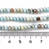 Natural Howlite Beads Strands X-G-H025-03C-09-5