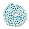 Natural Howlite Beads Strands G-H025-03C-08-3