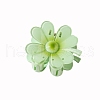 Resin Claw Hair Clips PW-WG87363-02-1