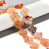 Natural Agate Beads Strands G-H024-C01-01-1
